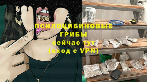 apvp Алзамай