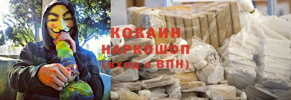 apvp Алзамай