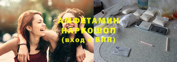 apvp Алзамай
