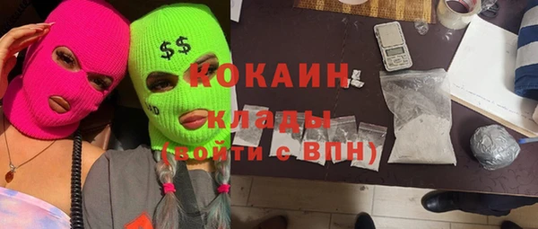 apvp Алзамай