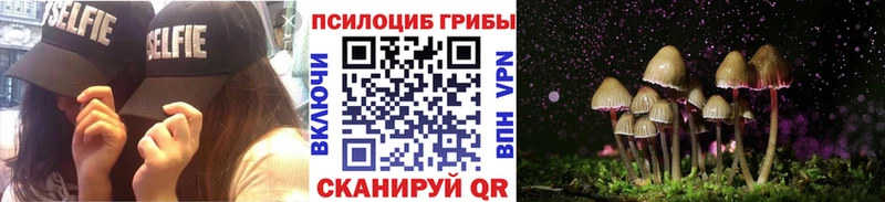 Псилоцибиновые грибы мицелий  Балашиха 